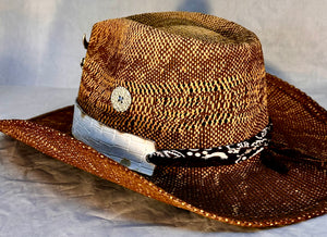 Brown Bison