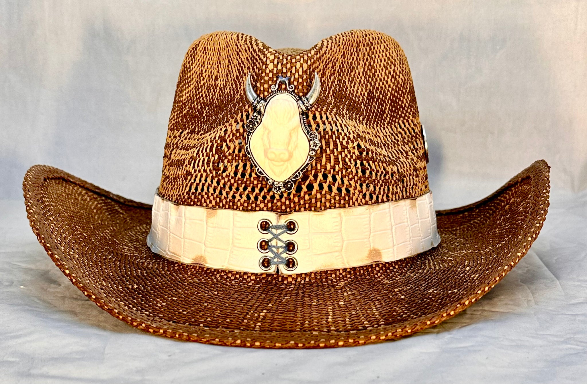 Brown Bison